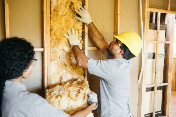 Best Garage Insulation Installation  in Nicollet, MN