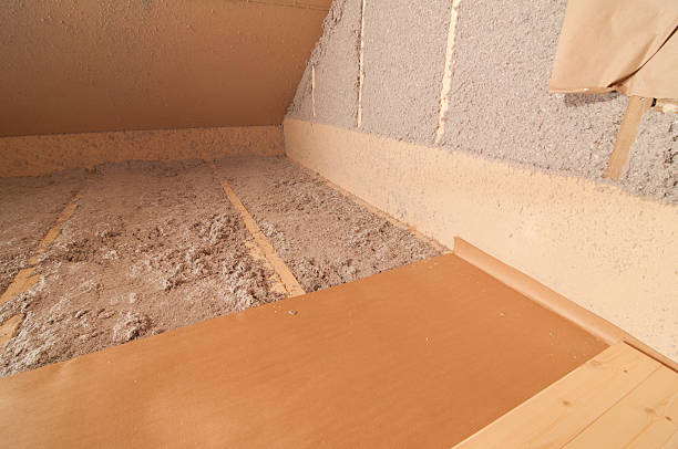 Best Energy-efficient Insulation  in Nicollet, MN