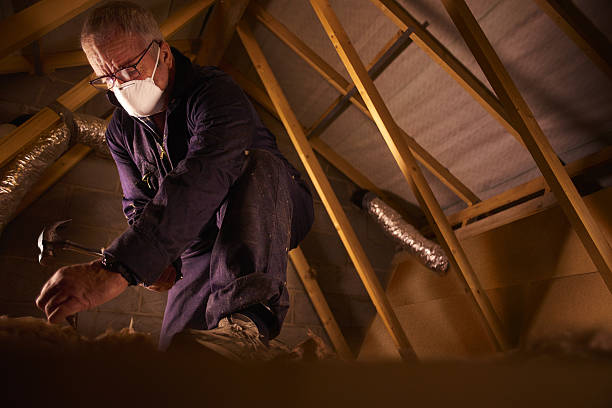 Best Affordable Insulation Services  in Nicollet, MN
